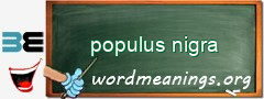 WordMeaning blackboard for populus nigra